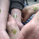 Image for article titled 12 Idiots With Hideous and Stupid Apple Tattoos